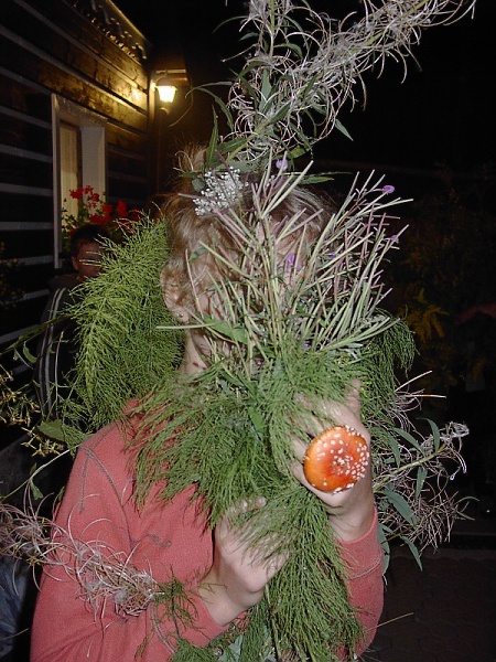 gal3_obr1130075344_13.jpg